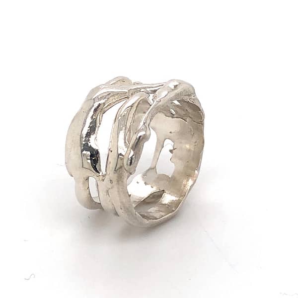 resterend Uitsluiten Hoopvol Handgemaakte zilveren ring (Earth) mt. 18,5 | Judith Hubers